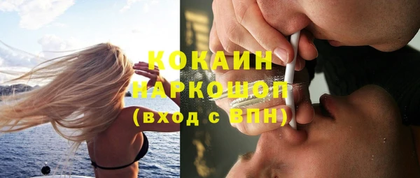 прущие крисы Новозыбков