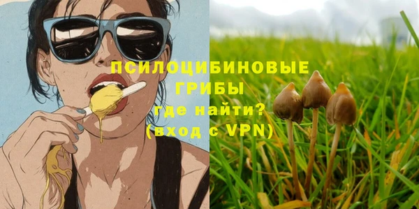 первитин Бутурлиновка