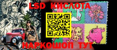 дмт Донской