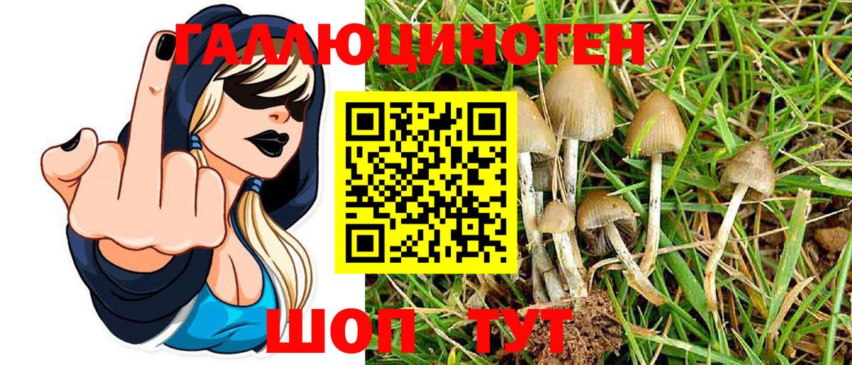 Ливны  Галлюциногенные грибы мицелий  Галлюциногенные грибы Magic Shrooms  наркотики  Вход с VPN 
