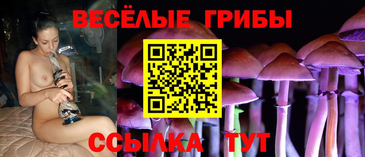 COCAIN  Перец  Хэш  Каннабис  Где купить наркотики?  Ливны  COCAIN  Вход с VPN  Меф 