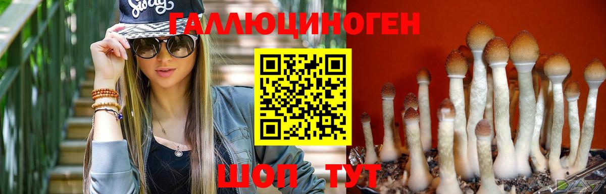 Псилоцибиновые грибы мицелий Ливны